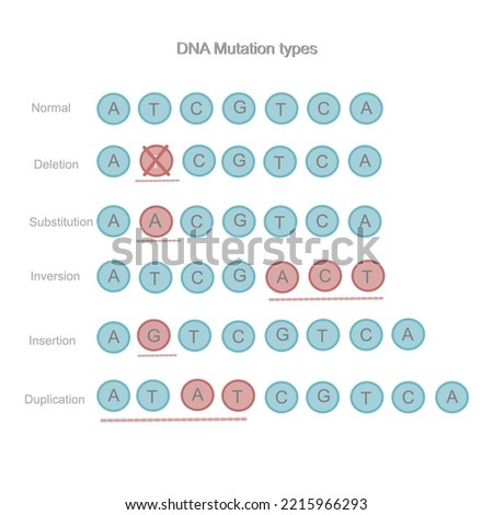 The types of DNA mutation : Deletion, Substitution, Inversion, Insertion and Duplication that comparison to Normal sequences. The picture represents in icon of nitrogenous base : A T C G