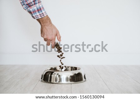 Similar – Image, Stock Photo man hand filling a bowl of dog food at home