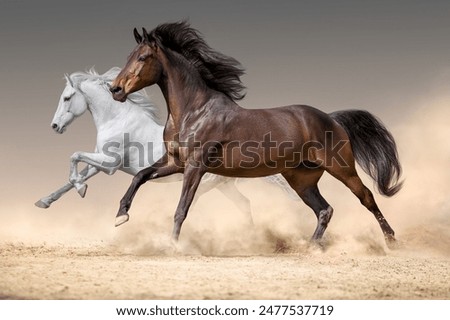 Similar – Image, Stock Photo The horse of the gaucho and his two dogs are waiting