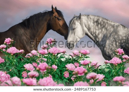 Similar – Image, Stock Photo Horses pasturing on meadow