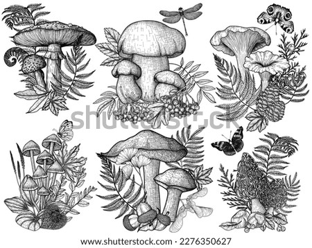 Hand Drawn Mushroom Brush Pack - Free Photoshop Brushes at Brusheezy!