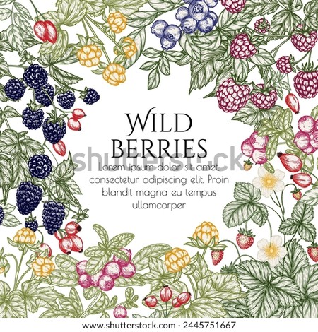 Vector illustration of forest edible berries. Strawberries, rose hips, raspberries, blackberries, lingonberries, blueberries, cloudberry