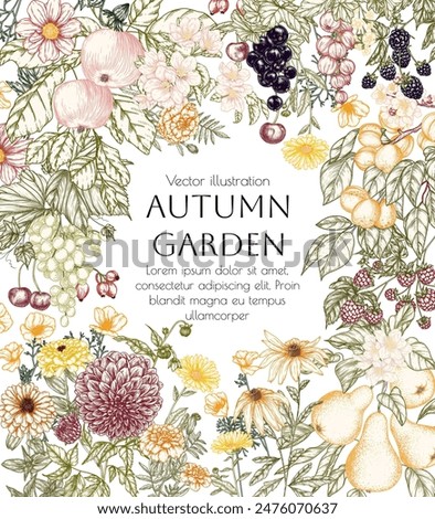 Vector border autumn garden. Flowers, fruits, berries. Apple, pear, currant, raspberry, cherry, marigold, dahlia, calendula, blackberry, grape, rudbeckia, zinnia