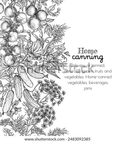 Vector illustration of vegetable preservation season. Branches of tomatoes, cucumbers, dill in engraving style