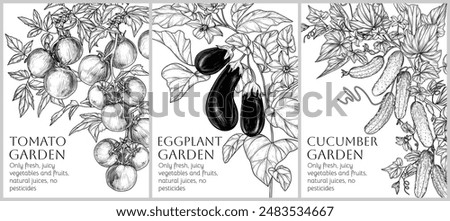 Vector set of 3 banners with vegetables on branches with leaves and flowers. Tomatoes, eggplants, cucumbers