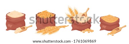 Sacks with wheat, barley grains and flour, seed of wheat in a burlap bag with wooden scoop isolated on white background. Set of natural farming food elements in cartoon style, vector