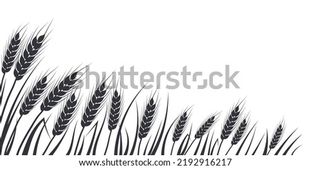 Wheat, oat, rye or barley field silhouette. Cereal plant border, agricultural landscape with black spikelets. Banner for design beer, bread, flour packaging