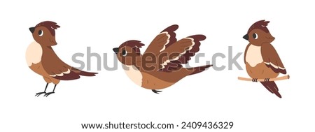 Lark bird set. Skylark flies with its wings spread. Early bird sitting on branch. Brown birdie standing and looking away. Vector flat illustration.