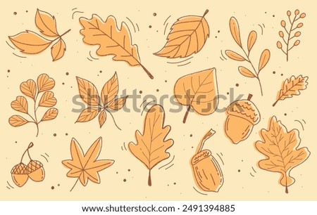 Set of dried hand drawn autumn leaves vector flat illustration pattern. Flat doodle style. Vector illustration. Fall season hand drawn design elements, clipart.