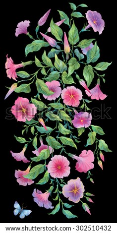 Hanging plants. Petunia flowers isolated on black background