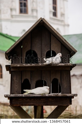 Similar – Image, Stock Photo dovecote Dovecote pigeons