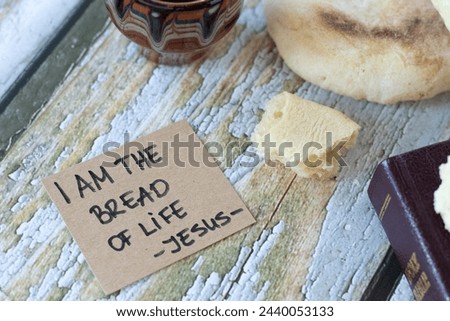 Similar – Image, Stock Photo I am the lord of the puddle the sea lion roars on the rock, the surf rolls on unimpressed