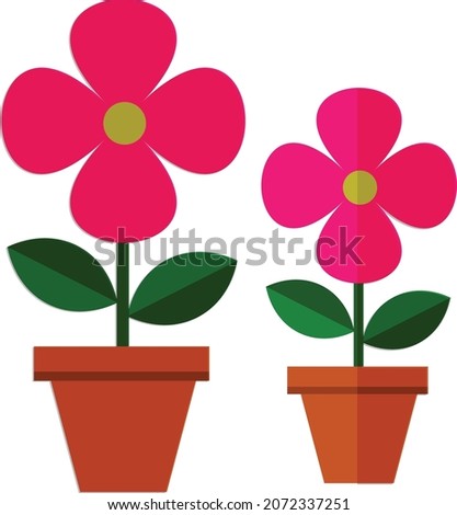 beautiful pink colour potted flowers having four petals also showing overlay in one flower with leaves of two green shades are placed in brown pots giving comfort to the eyes