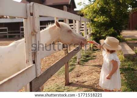 Similar – Image, Stock Photo Three ponies with straw in the head