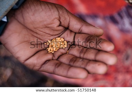 An inner-city African-American child holds pepper plant seeds in her hand.