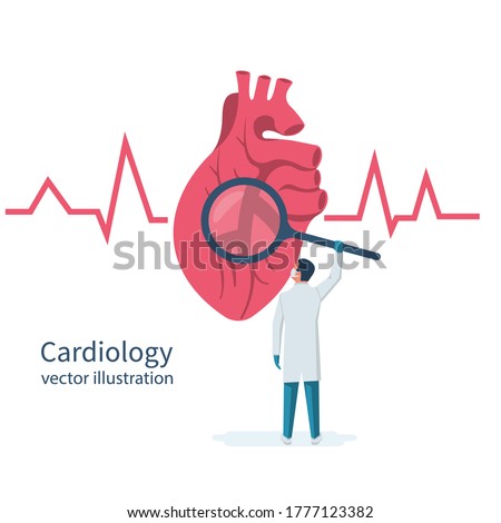 Cardiology concept. Cardiologist doctor holds magnifying glass in hands, looks to big human heart. Red heartbeat with life line, symbol healthcare. Medical background. Vector illustration flat design.