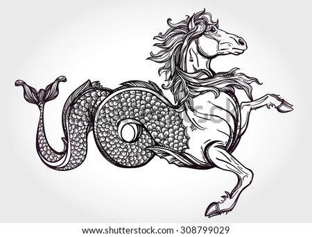 Hand drawn vintage Hippocampus or Kelpie - magic sea or water horse. Folklore motif, tattoo art. Heraldry and logo concept art. Isolated vector illustration in line art style. Mythological creature.