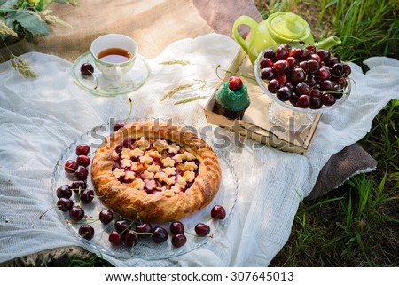 Picnic with cake and tea outdoors