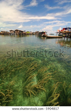 Crystal clear water with sea weed in the foreground and aboriginal people\'s houses in the background, Malaysia