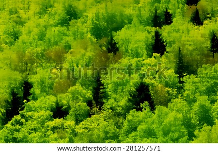 Aerial view forest watercolor painting digital illustration texture background in bright green summer colors