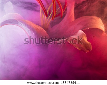 Similar – Image, Stock Photo dynamic | from flower to flower