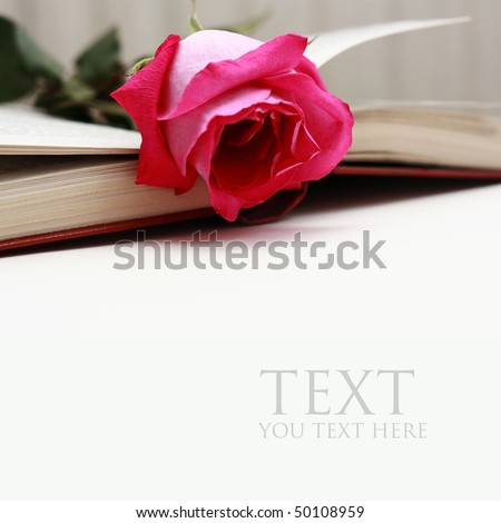 Lovely red rose  on a classic note book