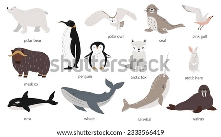 Vector set of polar animals with names. Marine mammals and birds. Whale, narwhal, walrus, polar owl, polar bear, penguins. Vector illustration in flat style. Banner, poster. Isolated objects. 
