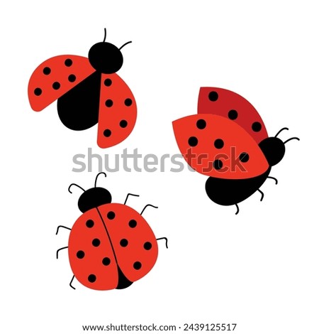 Set of cute ladybugs. Vector illustration with red ladybug. Hand drawn style. White isolated background.