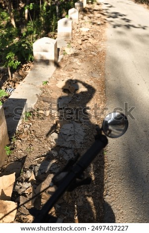 Similar – Image, Stock Photo shadow of cyclist taking photo