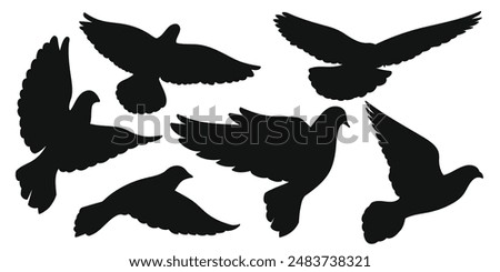 Set of black silhouettes of doves in flight.