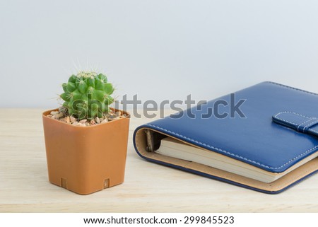 Cactus in vase decor  with a book for decorated over wooden background