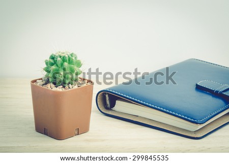 Cactus in vase decor  with a book for decorated over wooden background,  vintage tone