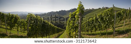 Panorama, Austria, Styria, wine producing country,old wine-growing country,Southern Styria,
