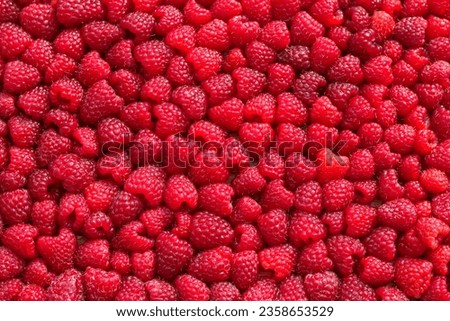 Similar – Image, Stock Photo red fruits of the hawthorn