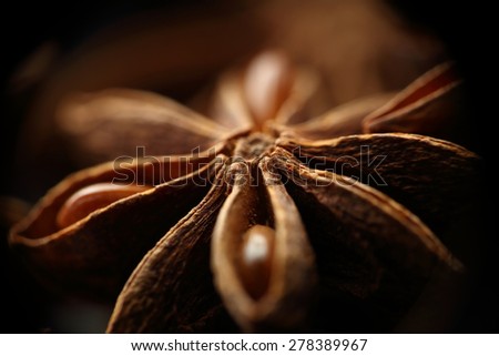 Star anise seeds. Blurred background