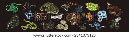 Dangerous snakes set. Exotic animals, jungle reptile, deadly fauna, venomous serpent: anaconda, python, cobra, viper, green boa, natrix, black mamba, taipan in zoo. Flat isolated vector illustrations