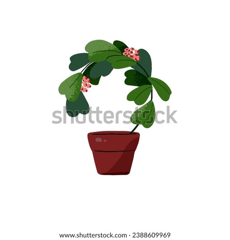 Hoya kerrii growing in pot. Flower, plant with hearts shape leaves in flowerpot. Houseplant with curved stem. Floral for interior decoration, home decor. Flat isolated vector illustration on white