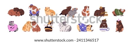Different guinea pigs set. Cute domestic cavies posing in fashion clothes. Funny rodent couple hugs, rest. Small fluffy animals, amusing pet eating, yawns. Flat isolated vector illustration on white
