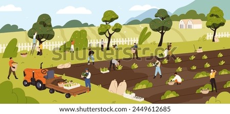 Farmers pick crop of fruit and vegetables in garden. Farm workers gather harvest into baskets and carry it into tractor. People work on rural field, farming. Agriculture. Flat vector illustration