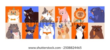 Avatars of cute cats with different emotions set. Square shape user profiles with funny kittens with sad, happy, angry, crying faces. Comic kitties, pets emoji. Flat isolated vector illustrations