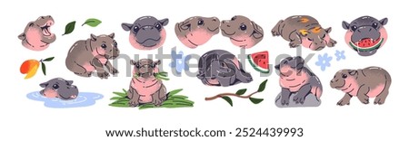 Cute baby hippo set. Funny pygmy hippopotamus has fun, sleeps, eats watermelon. Happy plump African animal swims in water, walks, relaxes. Flat isolated vector illustrations on white background