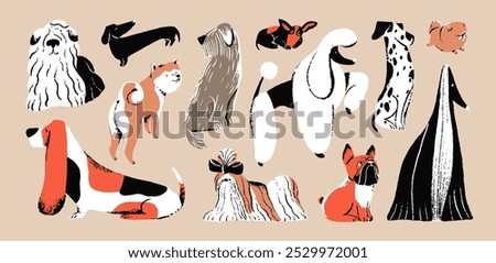 Different dogs set. Funny doggies: bulldog, akita, dalmatian, spitz, afghan hound. Cute puppies of poodle, dachshund sit, sleep. Canine breeds, purebred pets. Flat isolated drawing vector illustration