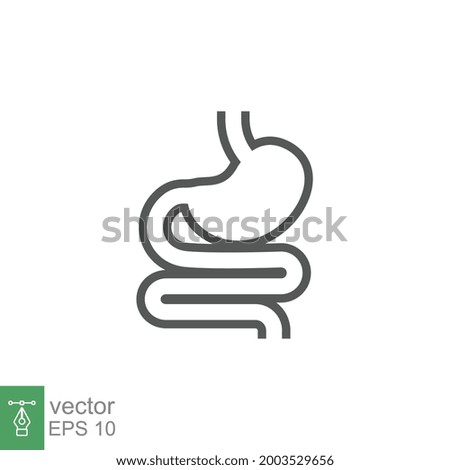 Digestive system, Human stomach and gastrointestinal system Infographic. Vital organ. Stomach, gastric and Colon tract as internal organ. Line Vector illustration. Design on white background. EPS 10