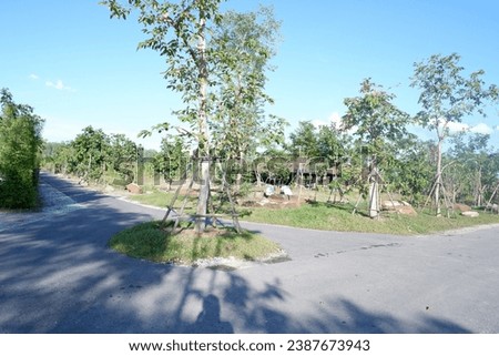 Similar – Image, Stock Photo Footpath in winter, always straight ahead, on the left of it a wooden fence, behind it bushes, on the right side of the path a brook bank. Falling snowflakes, in the distance trees can be seen in the mist.