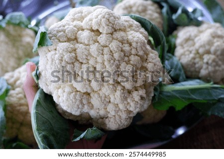 Similar – Image, Stock Photo Hand holding a cauliflower against a neutral background. Healthy food.