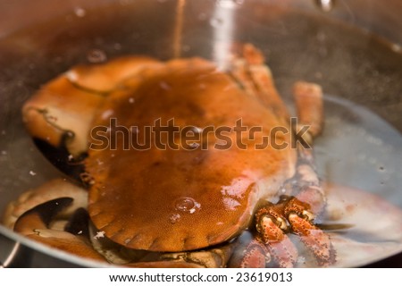 Cooked crab in a pot of water