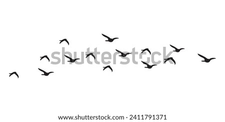 Vector Set Silhouette of a flock of flying birds