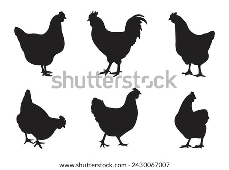 silhouettes chicken. hen. rooster. black isolated white background