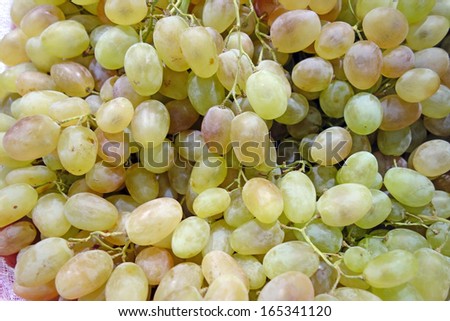 Background of the grape. Nature food