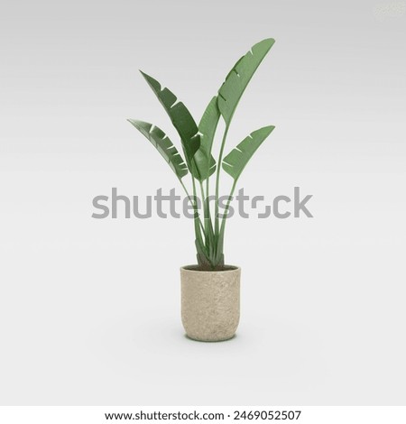 indoor plants for interior decoration rendered on white background